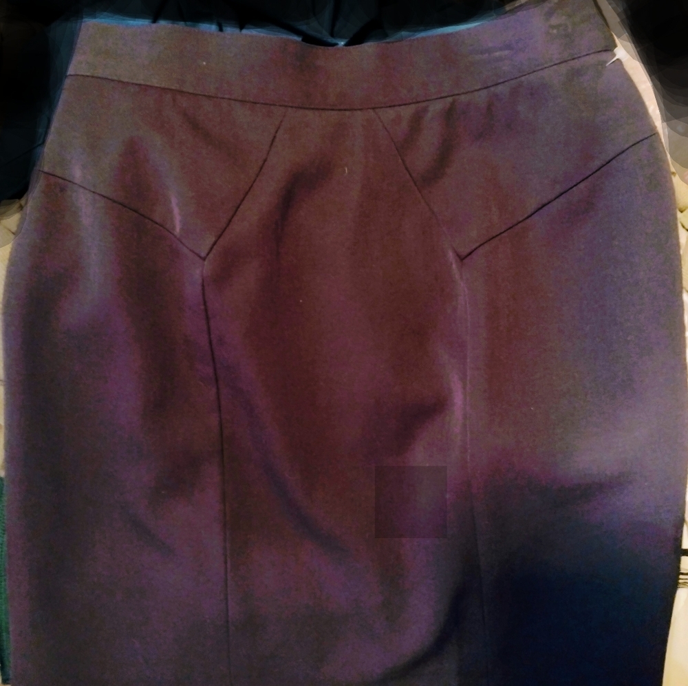NWOT Blue Pencil Skirt